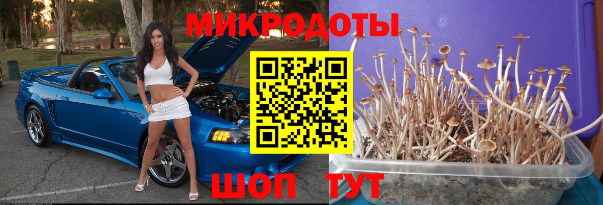 МАРИХУАНА  Саров  Меф МЯУ МЯУ   Экстази  ГАШ  Кокаин  Вход с VPN 