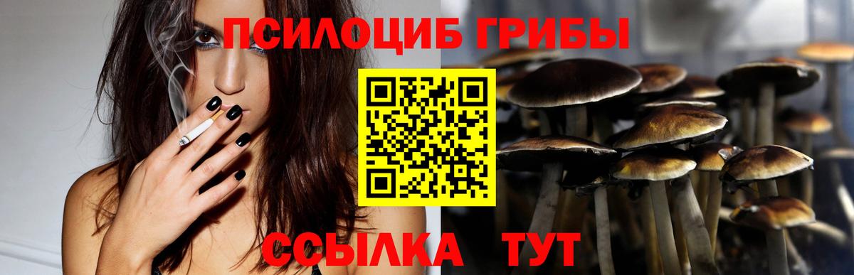 Галлюциногенные грибы Psilocybine cubensis Саров
